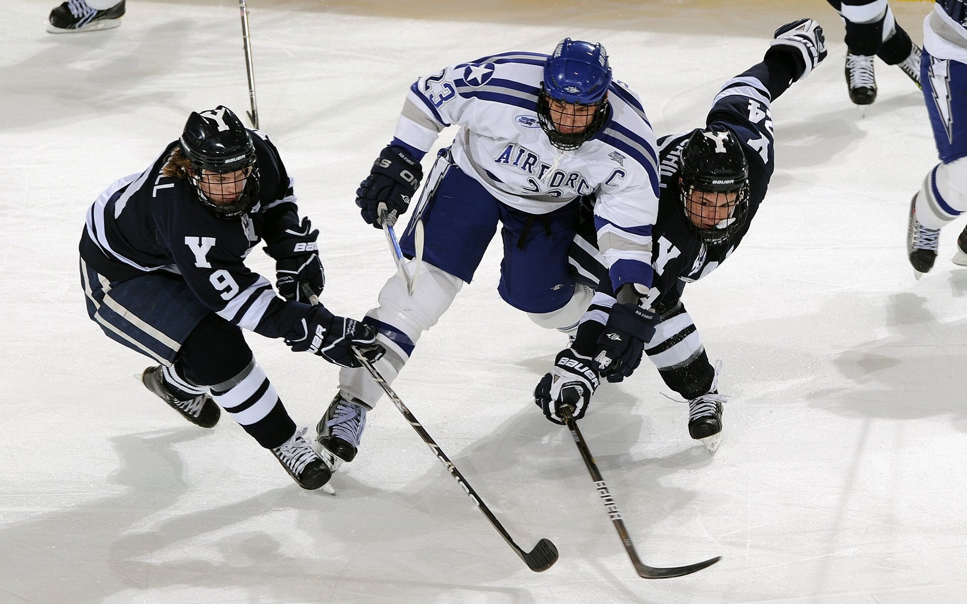 美洲篮球决赛即将上演，谁能问鼎最高荣誉？，美洲篮球比赛